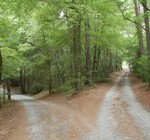 fork in road jpeg